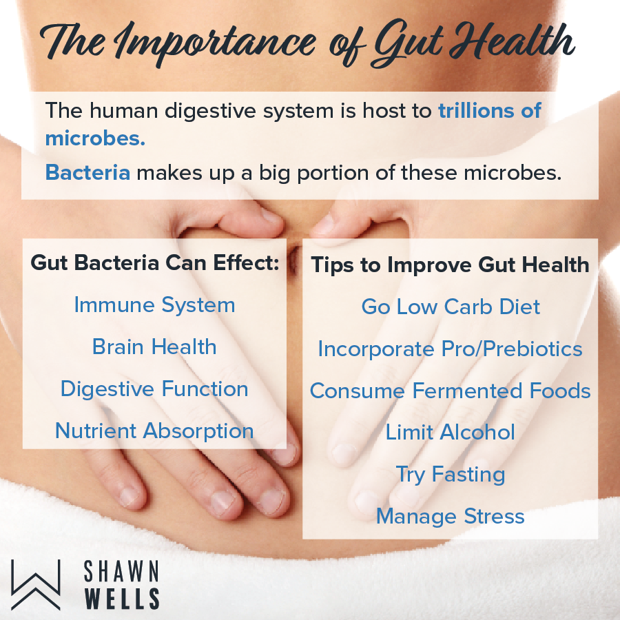 The importance of Gut Health