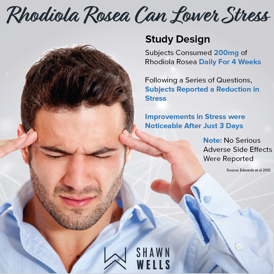 Rhodiola Rosea can lower stress