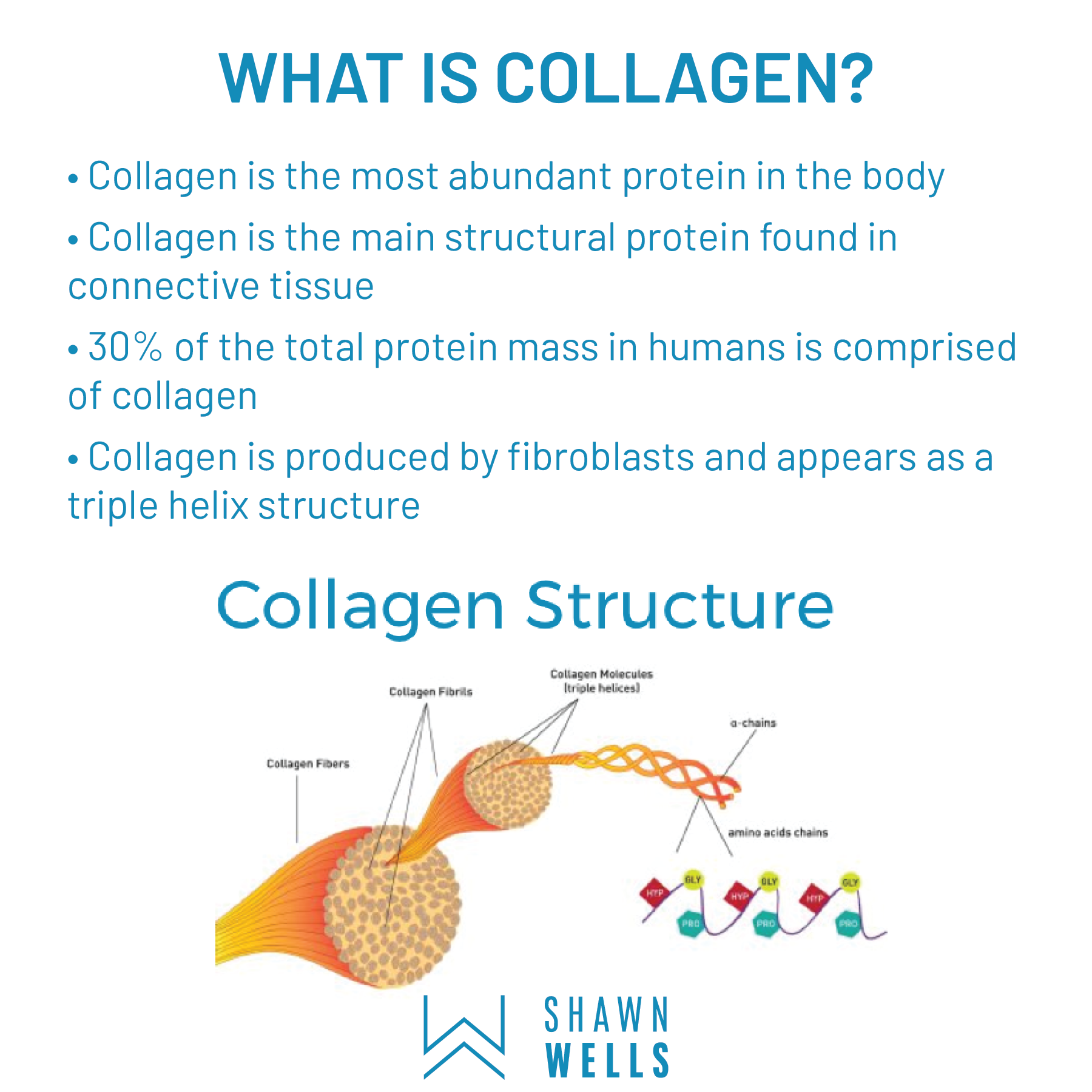 the-health-benefits-of-collagen-shawn-wells