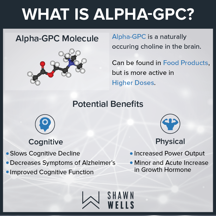 What is alpha-gpc?