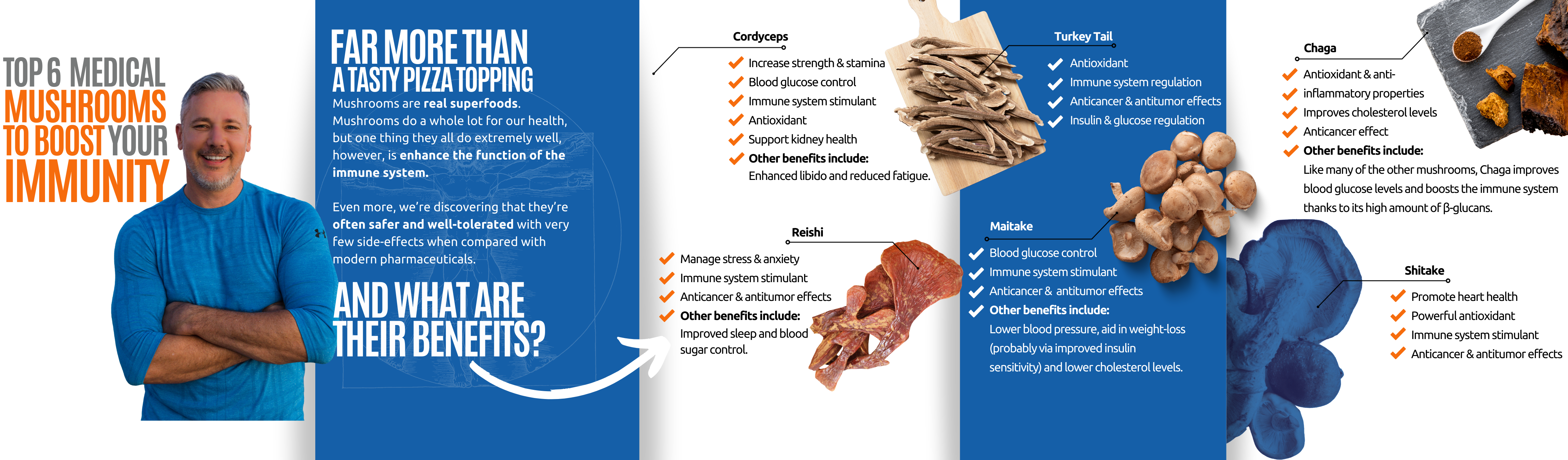 Top 6 Medical Mushrooms Supplements