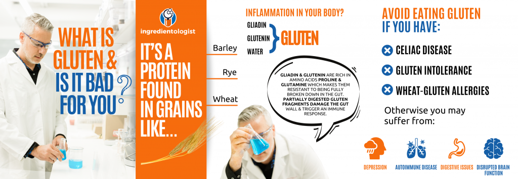 What is gluten and is it bad for you?