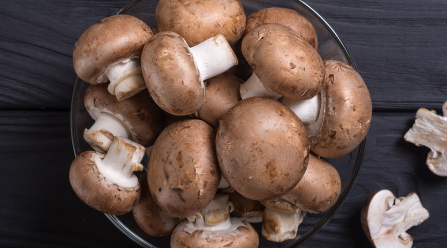 Mushrooms supplement