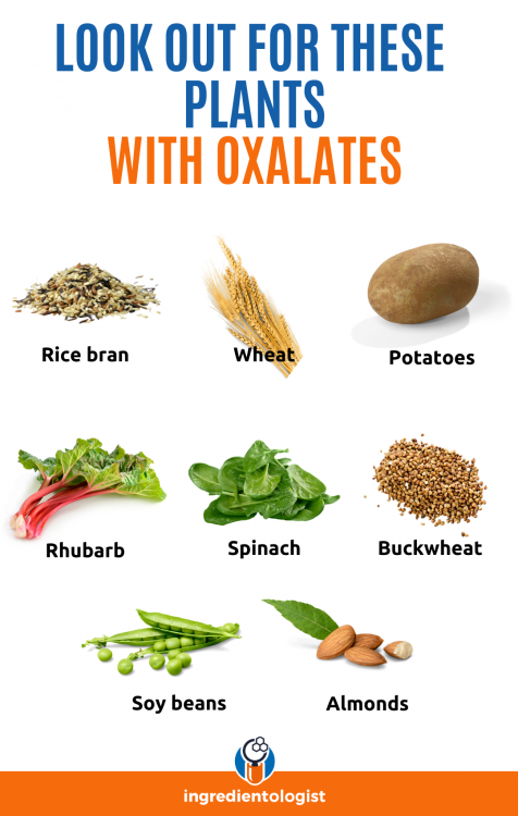 Where are oxalates found?