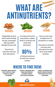 What are antinutrients?