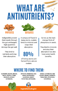 What are antinutrients?