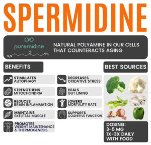 Shawn Wells The Ingredientologist Puremidine Spermidine