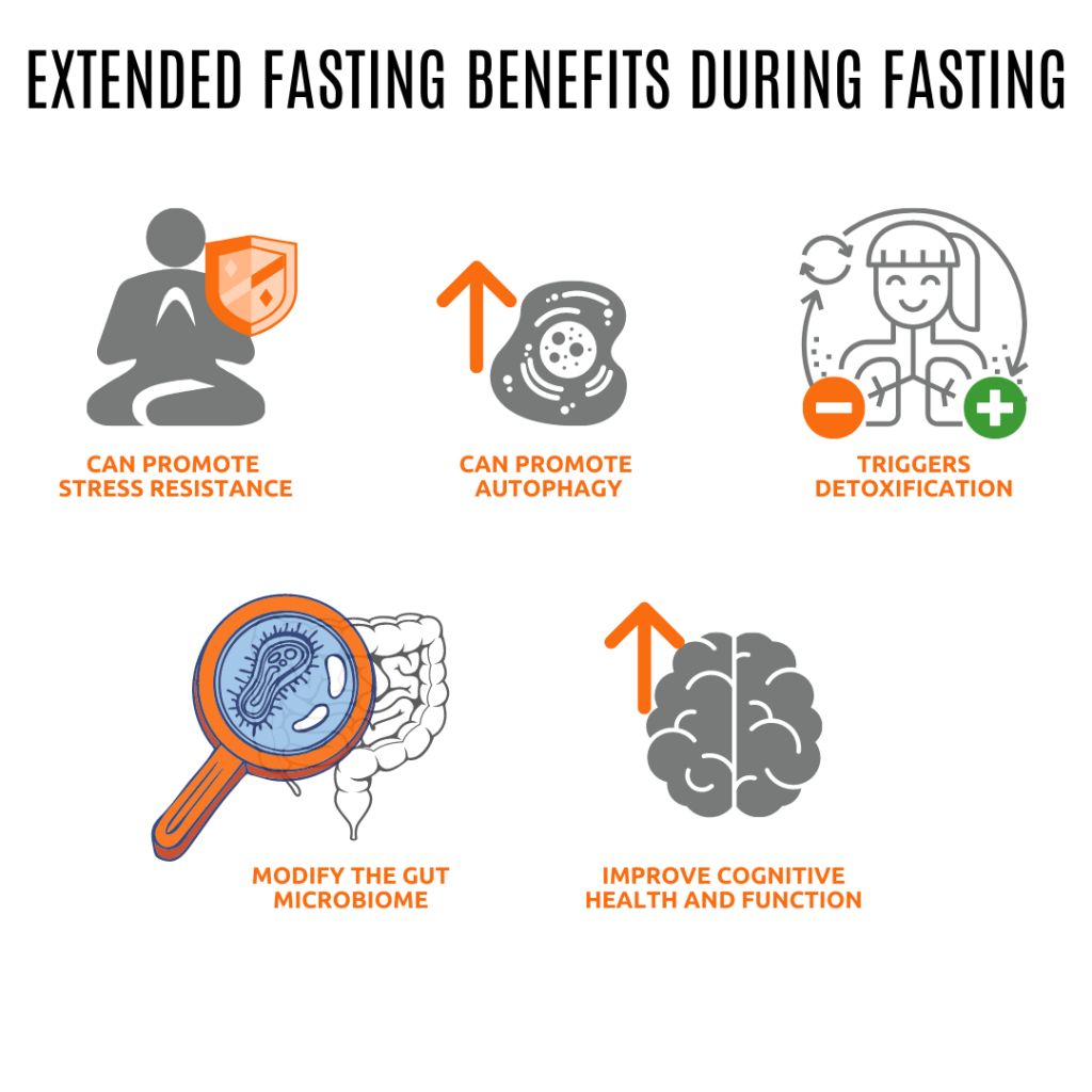 Extended Fasting Benefits