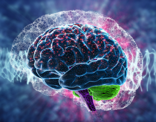 Applications | Shaanxi BLOOM Tech Co., Ltd Applications | Shaanxi BLOOM Tech Co., Ltd