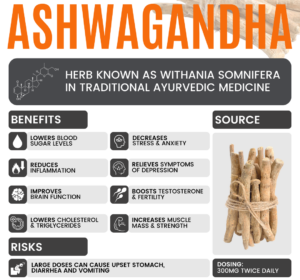 Shawn Wells Benefits of Ashwagandha
