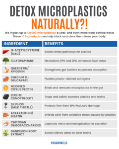 Table of 10 natural ingredients for microplastic detox protocol, listing N-acetylcysteine, sulforaphane, quercetin, calcium D-glucarate, modified citrus pectin, zeolite clinoptilolite, milk thistle, astaxanthin, chitosan oligosaccharides, and dandelion root extract with their plastic-binding and liver-support benefits.