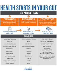 An informative synbiotics infographic explaining prebiotics, probiotics, and postbiotics with food sources to support gut health and digestion.