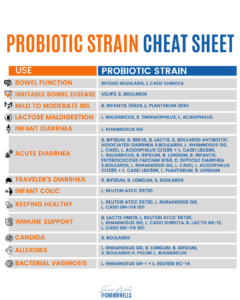 A detailed probiotic strain cheat sheet outlining the best probiotics for gut health, IBS, immune support, allergies, and digestive issues.