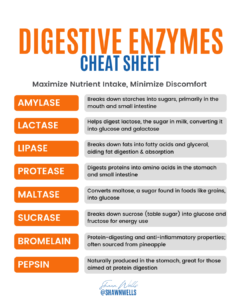 A comprehensive digestive enzymes cheat sheet explaining enzyme functions for nutrient absorption, gut health, and minimizing bloating and discomfort.