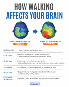 Brain scan images comparing 20 min of sitting vs walking alongside a timeline chart of benefits of barefoot walking on mood, energy, fat burn, and insulin sensitivity.