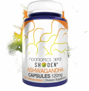 Nootropics Depot Shoden Ashwagandha