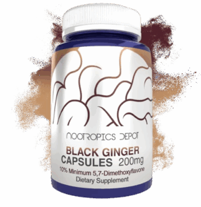 Nootropics Depot Black Ginger Extract