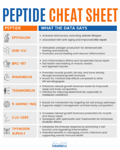 Table titled ‘Peptide Cheat Sheet’ listing eight key peptides (Epithalon, GHK-Cu, BPC-157, Ipamorelin, Tesamorelin, 5-Amino-1MQ, CJC-1295, Thymosin Alpha-1) alongside bullet points summarizing each one’s primary data-backed actions, such as telomerase activation, collagen production, tissue repair, growth-hormone release, fat-metabolism support, and immune modulation.