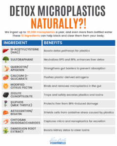 Table of 10 natural ingredients for microplastic detox protocol, listing N-acetylcysteine, sulforaphane, quercetin, calcium D-glucarate, modified citrus pectin, zeolite clinoptilolite, milk thistle, astaxanthin, chitosan oligosaccharides, and dandelion root extract with their plastic-binding and liver-support benefits.