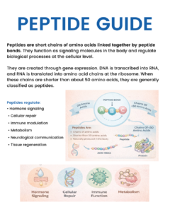 Peptide guide infographic explaining how peptides function as signaling molecules in the body. The graphic defines peptides as short chains of fewer than 50 amino acids linked by peptide bonds and shows their formation through gene expression, from DNA to RNA to amino acid chains. It highlights key roles of peptides in hormone signaling, cellular repair, immune function, metabolism, neurological communication, and tissue regeneration, with illustrations of peptide structure and biological processes.