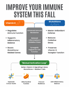 Diagram showing vitamin D and glutathione working together for immune support in fall, highlighting reduced inflammation and oxidative stress, tied to vitamin d in autumn.