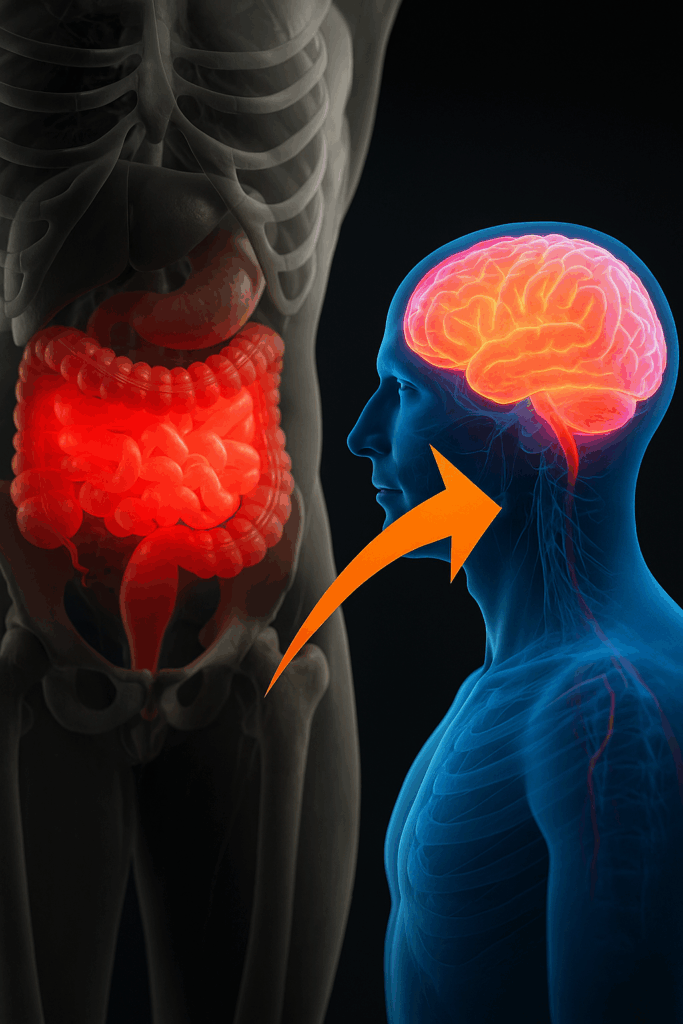 Gut Brain Connection: Fix Brain Fog in 14 Days - Shawn Wells
