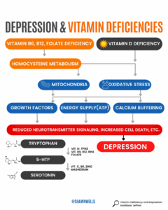 Diagram linking vitamin D and B vitamin deficiencies to mitochondria, oxidative stress, neurotransmitter pathways, and how winter mood support supplements may help fill nutrient gaps.