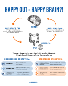 Illustration of the gut-brain axis showing how gut microbiota influence neurotransmitters, mood, stress response, and cognitive function.