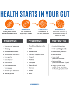Infographic explaining how prebiotics, probiotics, synbiotics, and postbiotics support gut health, microbiome balance, and the gut-brain axis.