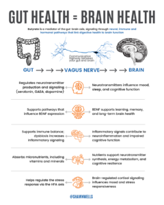 Diagram showing the gut-brain axis, with butyrate signaling through the vagus nerve to link digestive health, immune balance, and brain function.