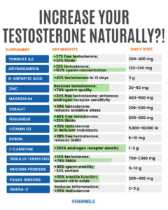 Infographic titled “Increase Your Testosterone Naturally?!” listing supplements, key benefits, and daily doses for testosterone and libido support (tongkat ali, ashwagandha, zinc, magnesium, vitamin D3, boron, omega-3, and more).