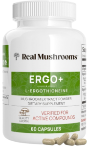 Real Mushrooms ERGO+ L-ergothioneine mushroom extract supplement bottle with capsules.